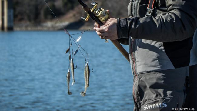 How to Fish Umbrella Rigs for Bass - Major League Fishing