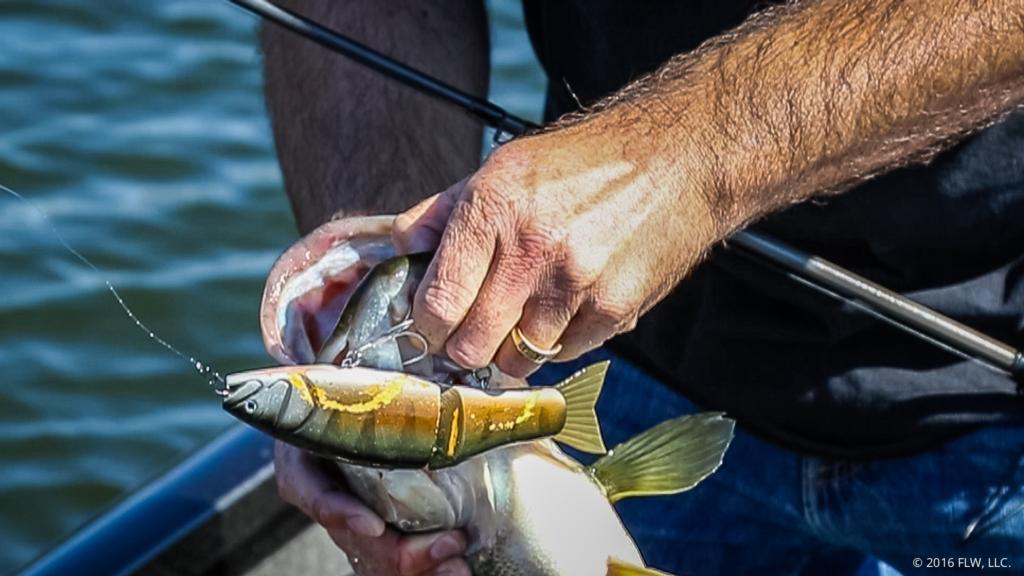 Struggling To Catch Fish On Glide Baits? Try These Tips And Tricks