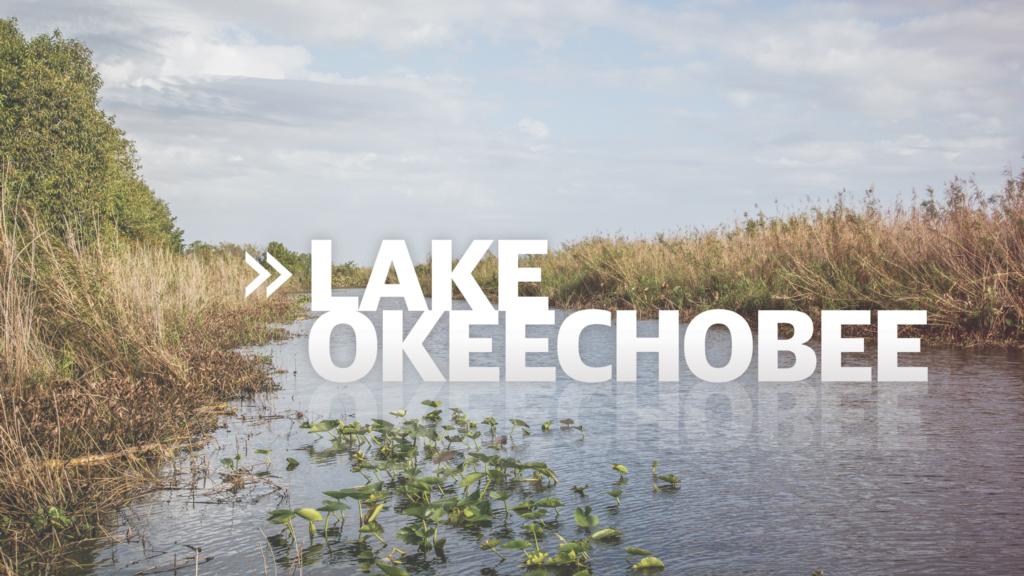 Image for Lake Okeechobee Preview