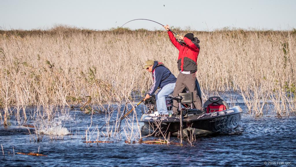 Image for Top 5 Patterns from Lake Okeechobee Day 2