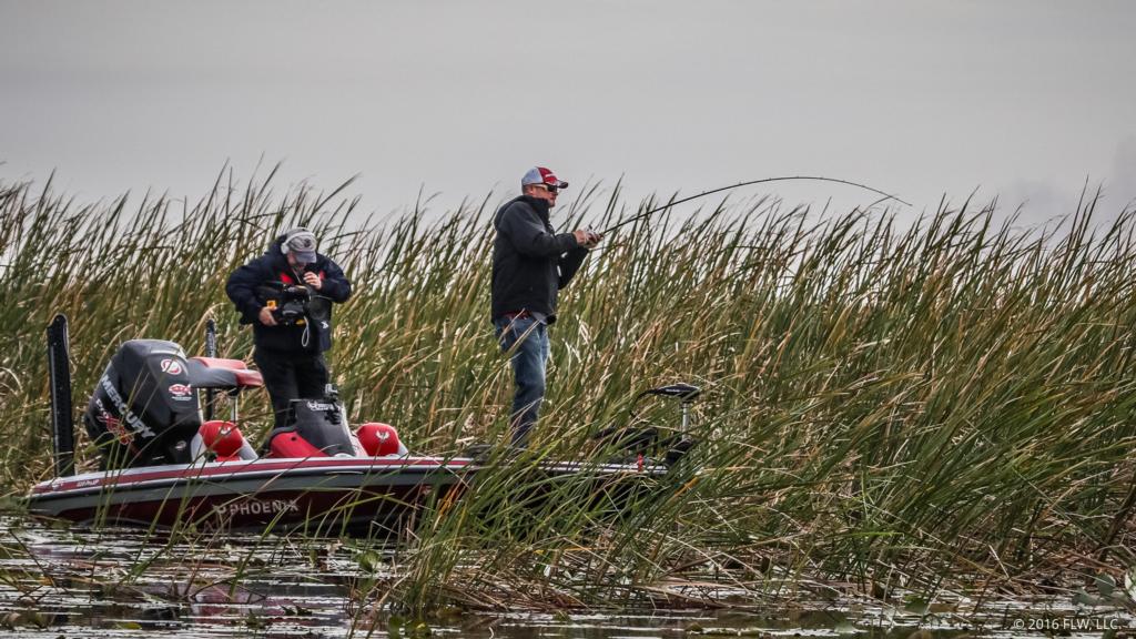 Image for Top 10 Patterns from Lake Okeechobee