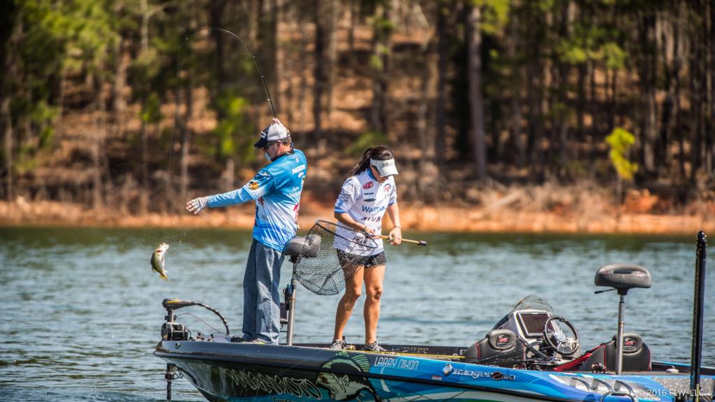 Image for Top 5 Patterns from Hartwell Day 1