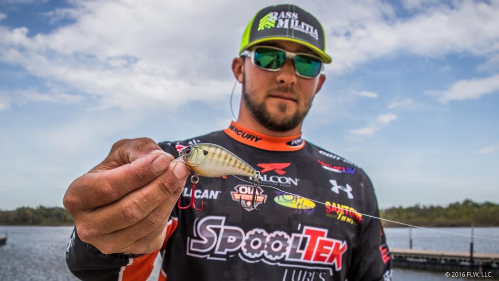 10 Spinnerbait Tips  The Ultimate Bass Fishing Resource Guide® LLC