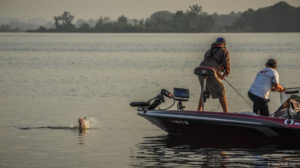 Image for Top 5 Patterns from Wheeler Lake Day 1