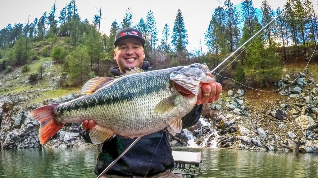 Image for Meyer Lands Potential Record Spotted Bass