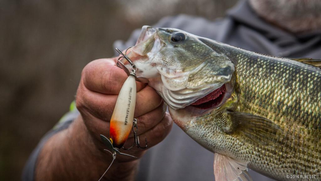 Prop Baits for River Spots - Major League Fishing
