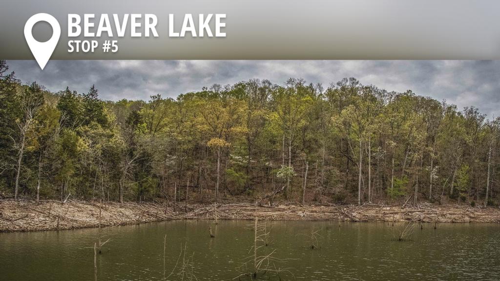 Image for 2017 Beaver Lake Preview