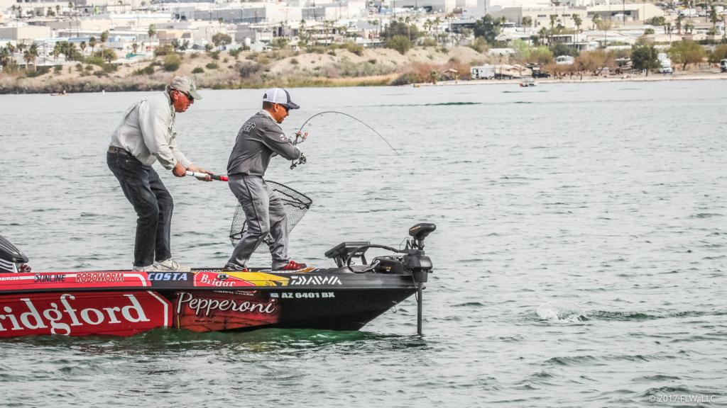 Image for Top 10 Patterns from Lake Havasu