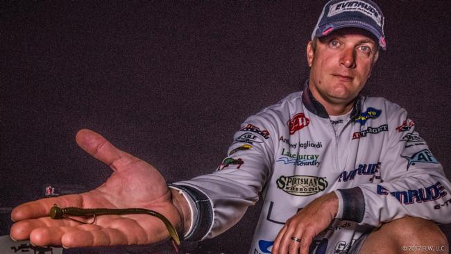 South Carolina pro Anthony Gagliardi used a green pumpkin Tightlines UV Finesse Worm on a 1/4-ounce Buckeye Lures Spot Remover jighead. On the final day, he leaned on a merthiolate-colored floating worm and a Buckeye Lures Mini Mop Jig. 