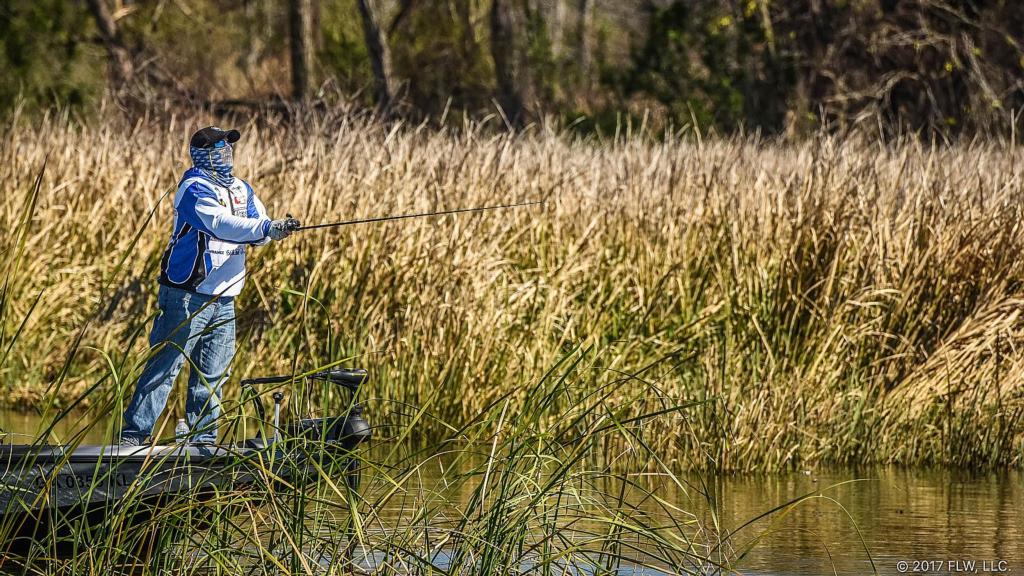 Image for Top 10 Patterns from Lake Seminole