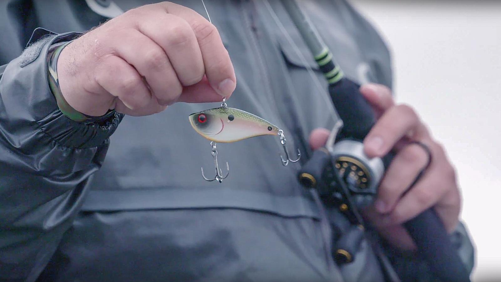 The Palm Tree Trick for Bass Fishing - Wired2Fish
