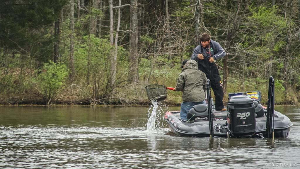 Image for Top 5 Patterns from Dardanelle Day 1