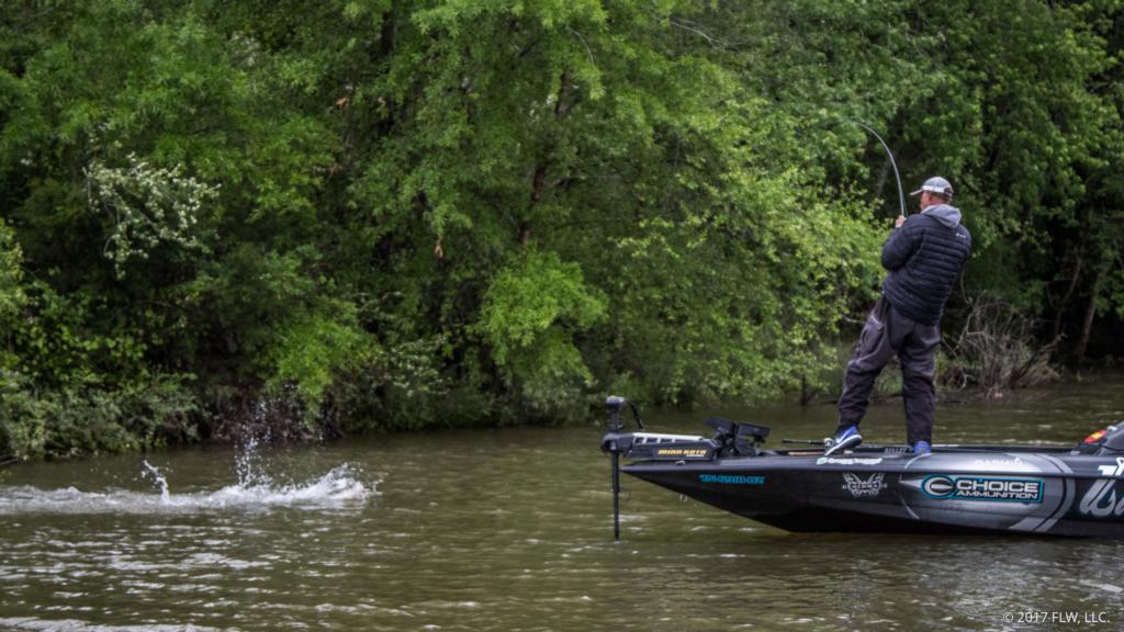 Image for Top 5 Patterns from Chickamauga on Friday