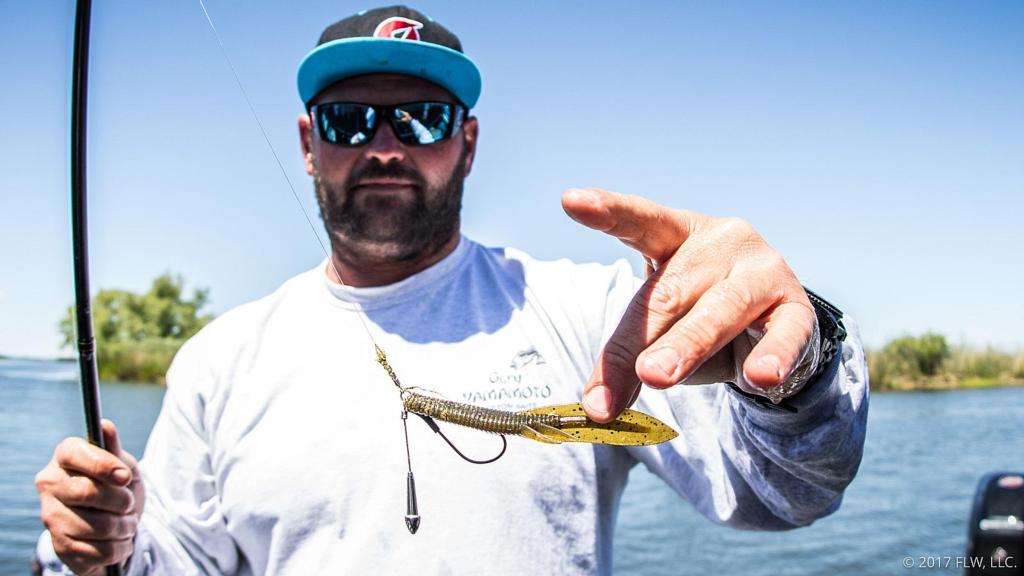 Image for Top 10 Baits from the Cal Delta