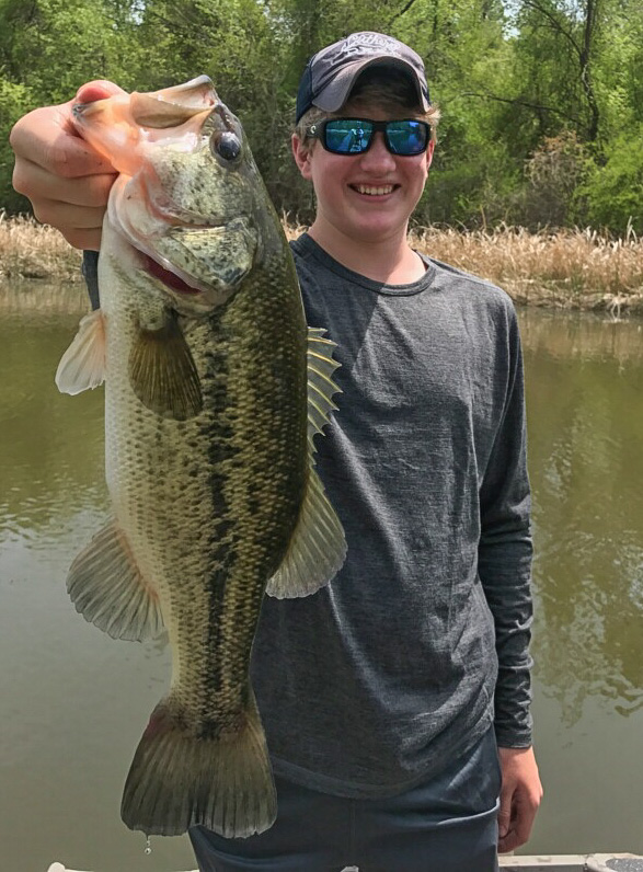 MLF Bryce Edwards Profile