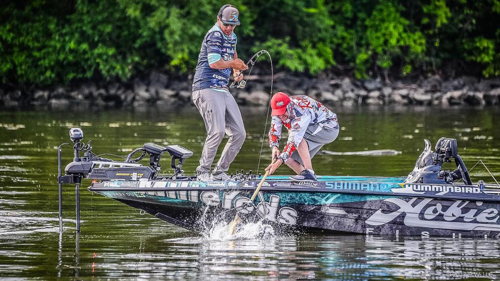 Image for Potomac River Top 5 Patterns – Day 1