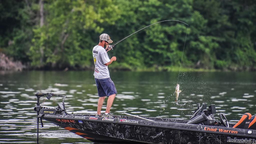 Back Bay Rod, Sections= 1, Line Wt.= 8-17, Trolling Rods -  Canada