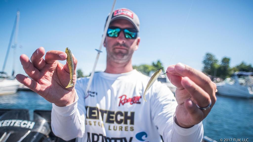 Image for Top 10 Baits from 1000 Islands