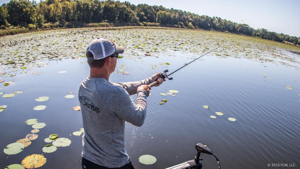 6 Lily Pad Tips from Sprague - Major League Fishing