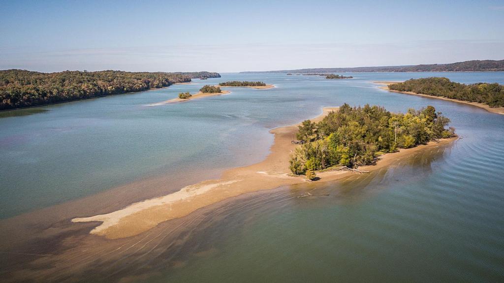 Image for The Fall Report on Kentucky Lake