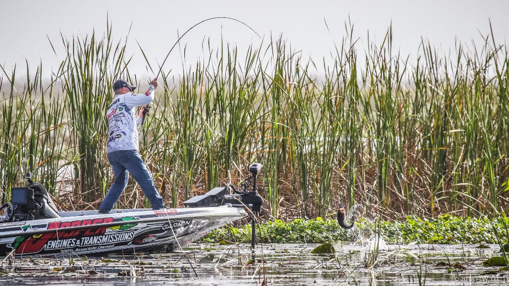 Image for Top 10 Patterns from Lake Okeechobee