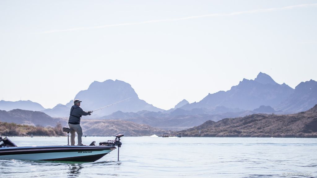 Image for Red-Hot Spawn Bite Expected at Havasu