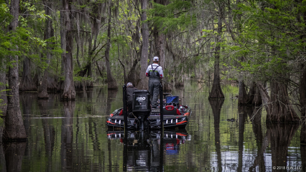 Image for Top 10 Patterns from Santee Cooper