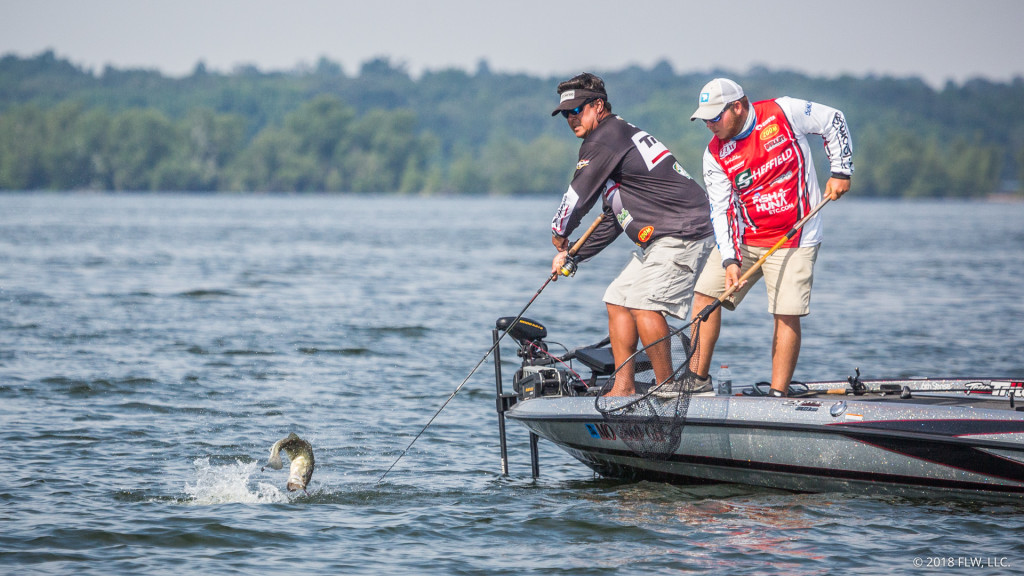 Image for Top 10 Patterns from Lake Barkley