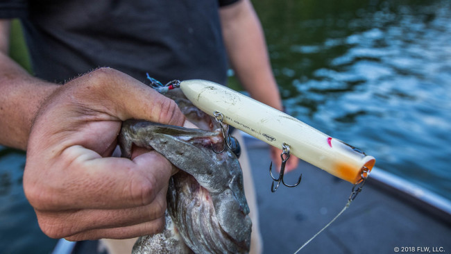 Berkley FishinGear Nose Pliers - Straight Bend Predator Fishing
