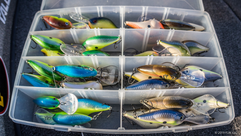 Winning Baits from the 2019 FLW Tour - Major League Fishing