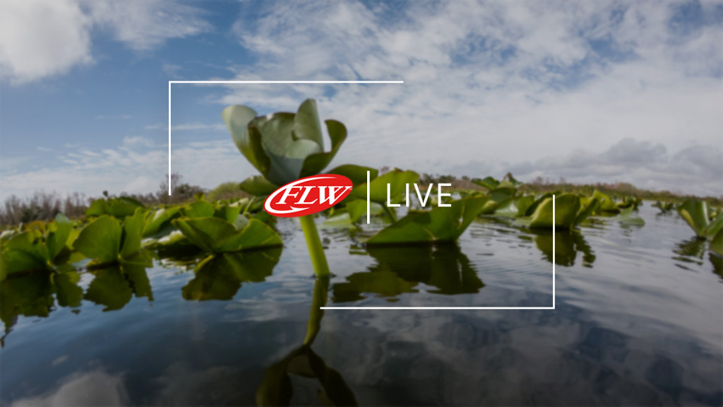 Image for FLW Live Schedule for Lake Toho