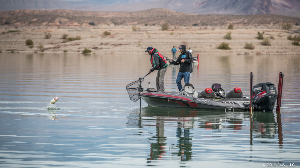 Image for Top 10 Patterns from Lake Mead