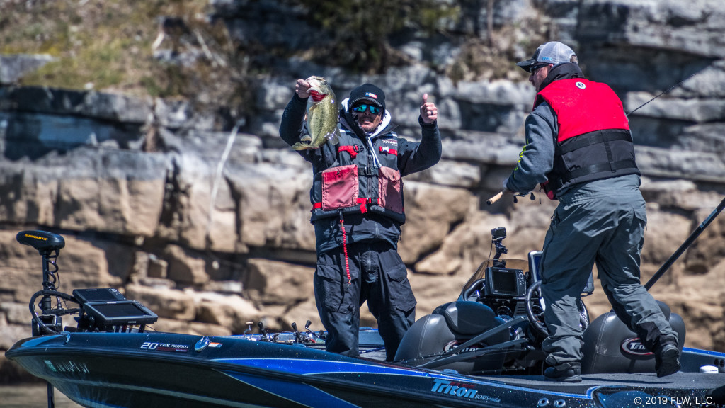 Image for Top 10 Patterns from Chickamauga