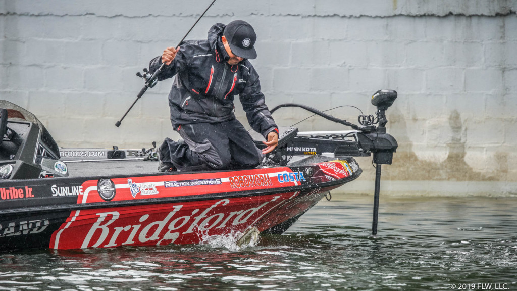 Image for Top 5 Patterns from Clear Lake Day 1