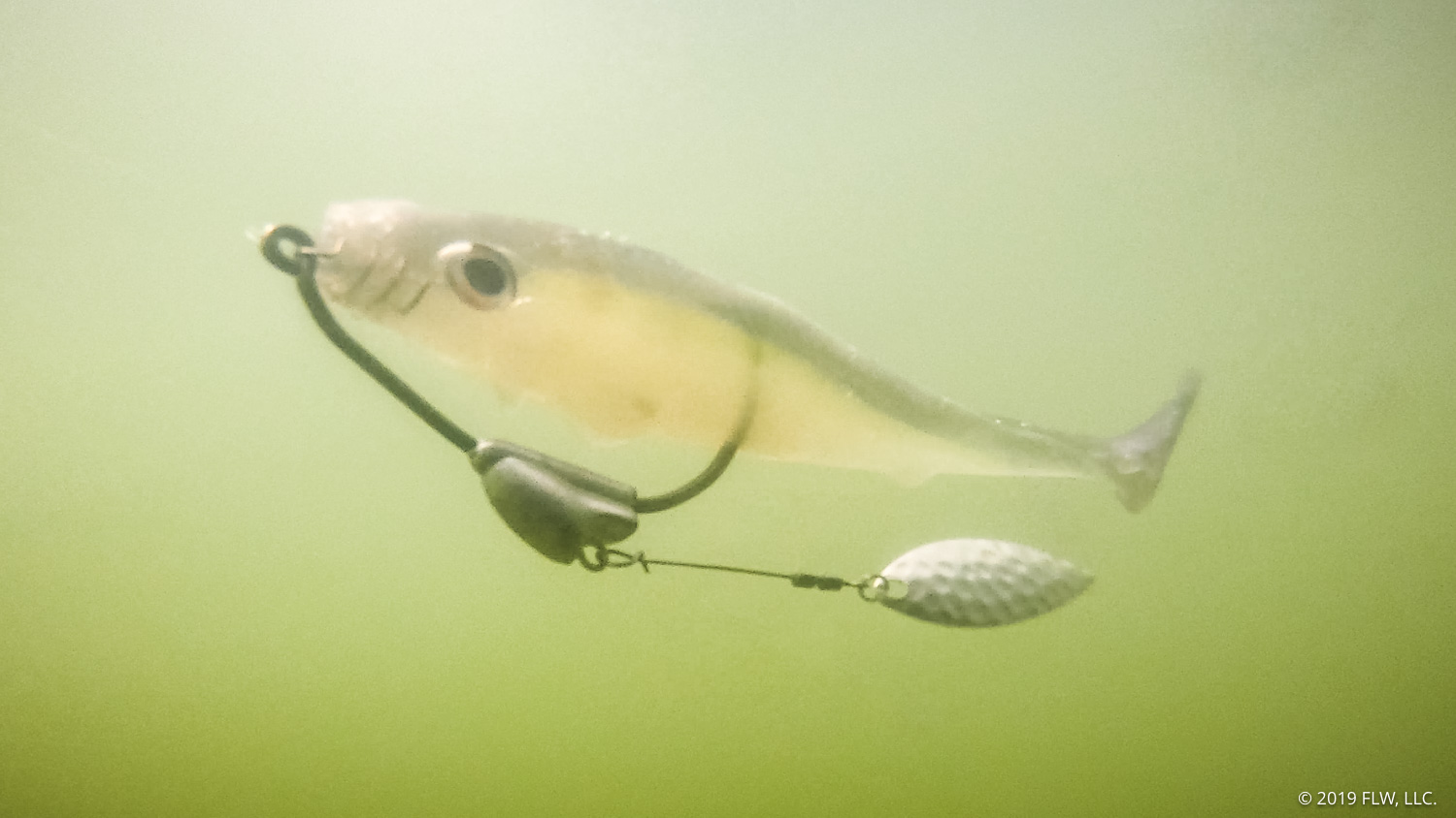 When to Fish the Flashy Swimmer - Major League Fishing