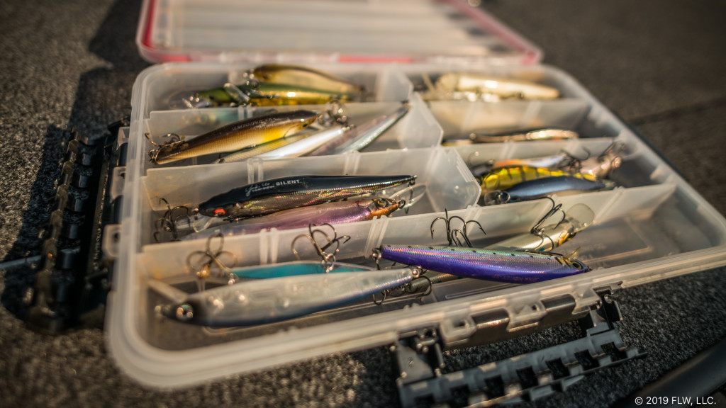 Three Best Lures For Forward-Facing Sonar