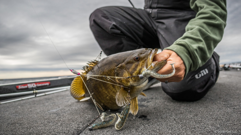 Image for Umbrella Rigs for Great Lakes Smallies   