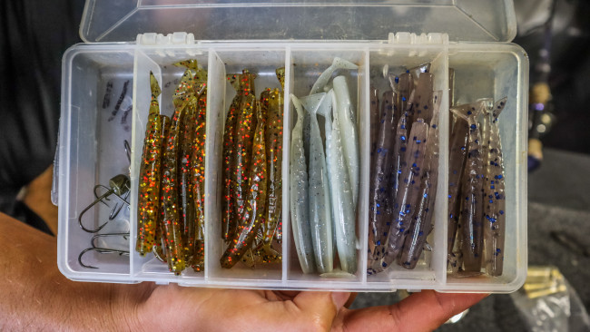 How I Store and Organize Soft Plastic Baits 