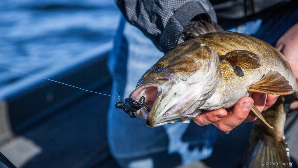 Image for How to Catch Winter Bass on Hair Jigs