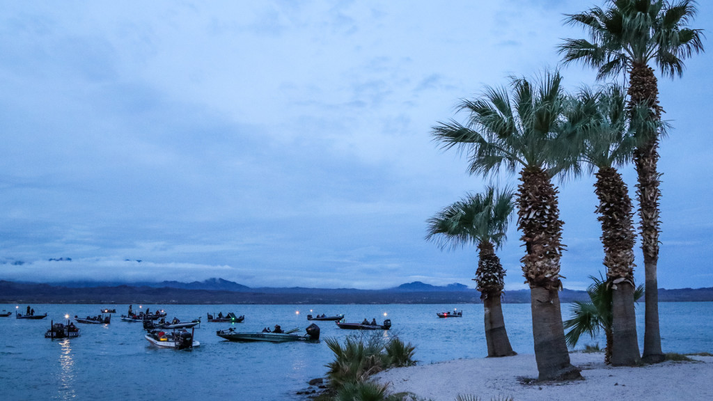Image for Two Species Spawning at Havasu 