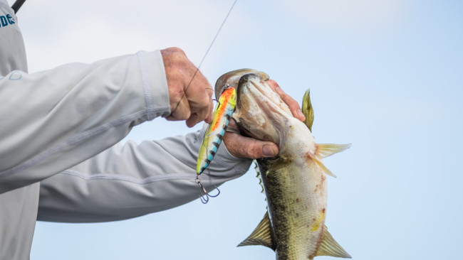 Dock shooting tactic puts crappie baits where the sun doesn't shine