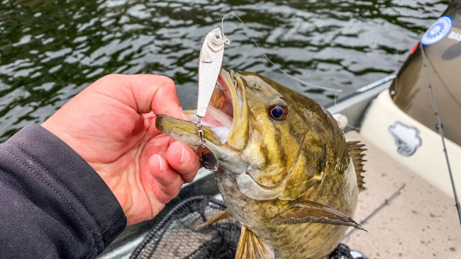 Catch More Bass per strike on any lure… understand what is going on under  the water… - Jackson Kayak