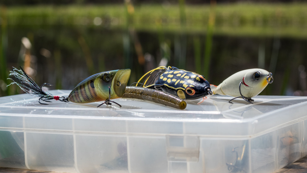6 Must Have Bass lures for Sea Fishing 