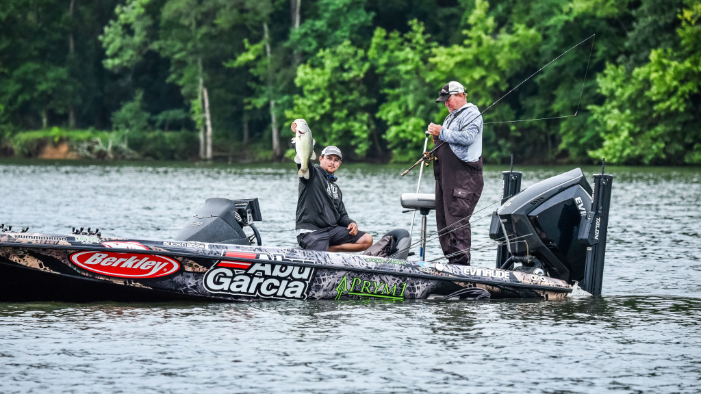 Image for Top 5 Patterns from Pickwick – Day 1